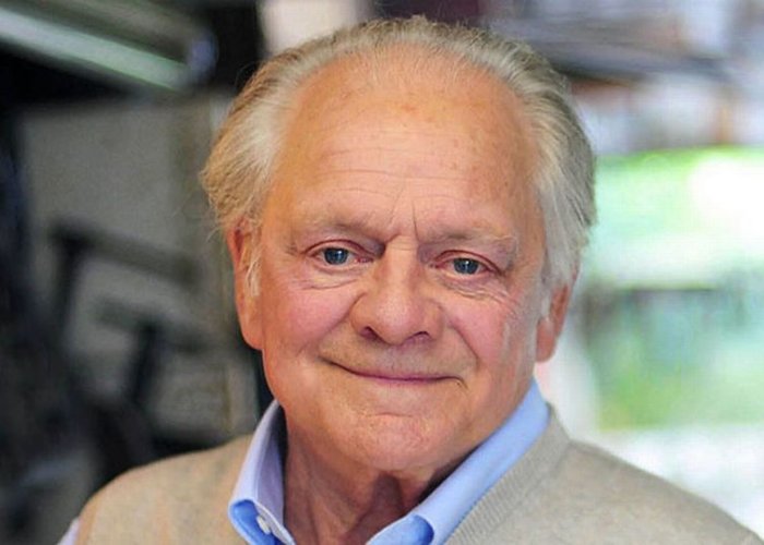 Actor Sir David Jason: 'the Germans want to run Europe'